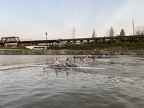 IMG 3646